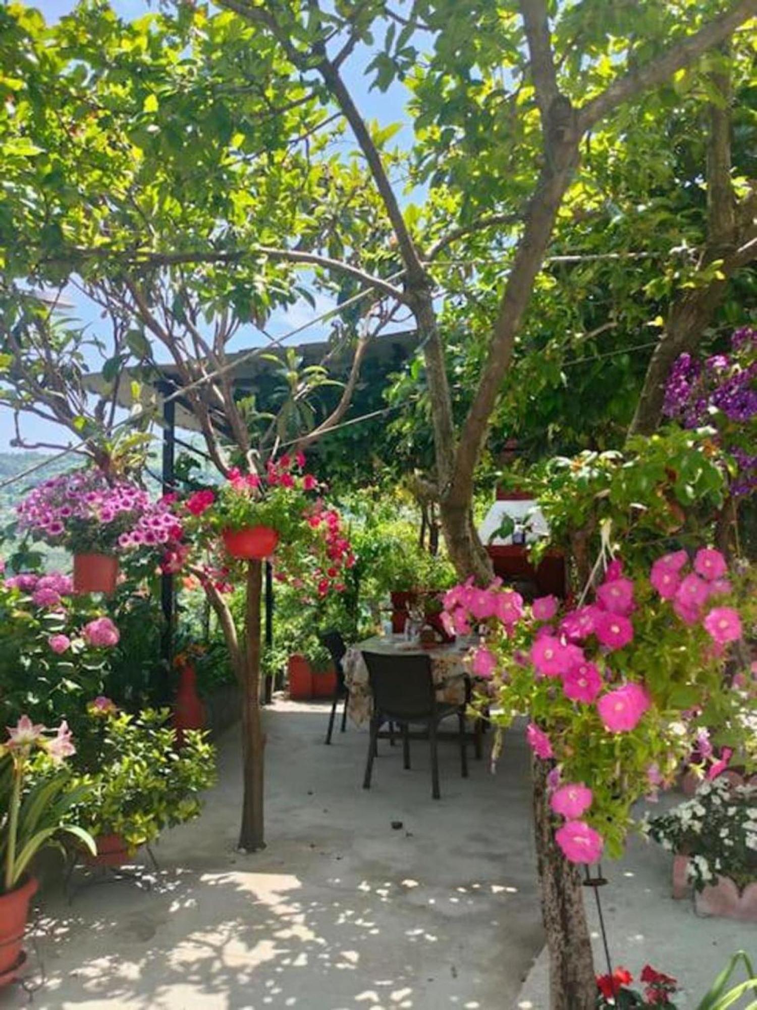 Hara'S House Pelion Apartment Makrirrakhi Exterior photo